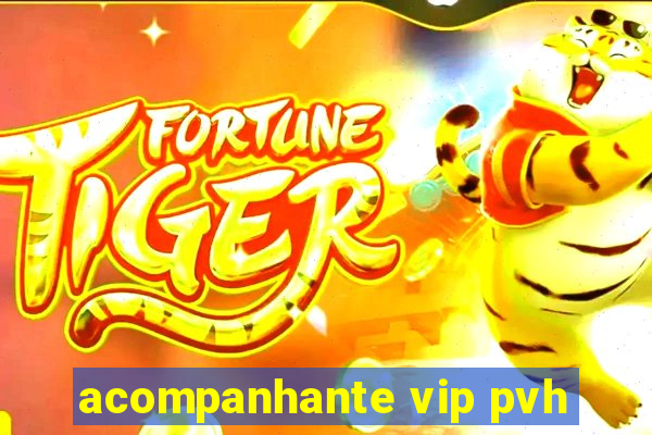 acompanhante vip pvh